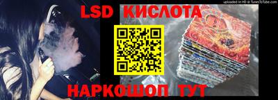 альфа пвп Новодвинск