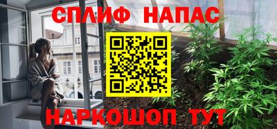 альфа пвп Новодвинск