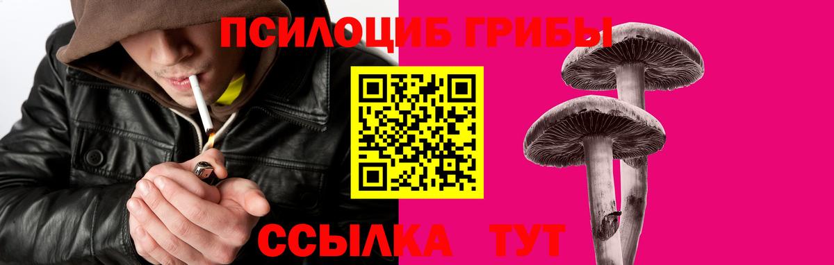 Псилоцибиновые грибы мухоморы  Вход с VPN  Сертолово 