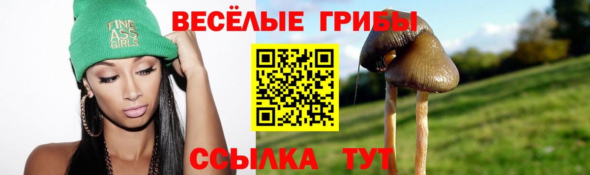 Галлюциногенные грибы Psilocybine cubensis Сертолово